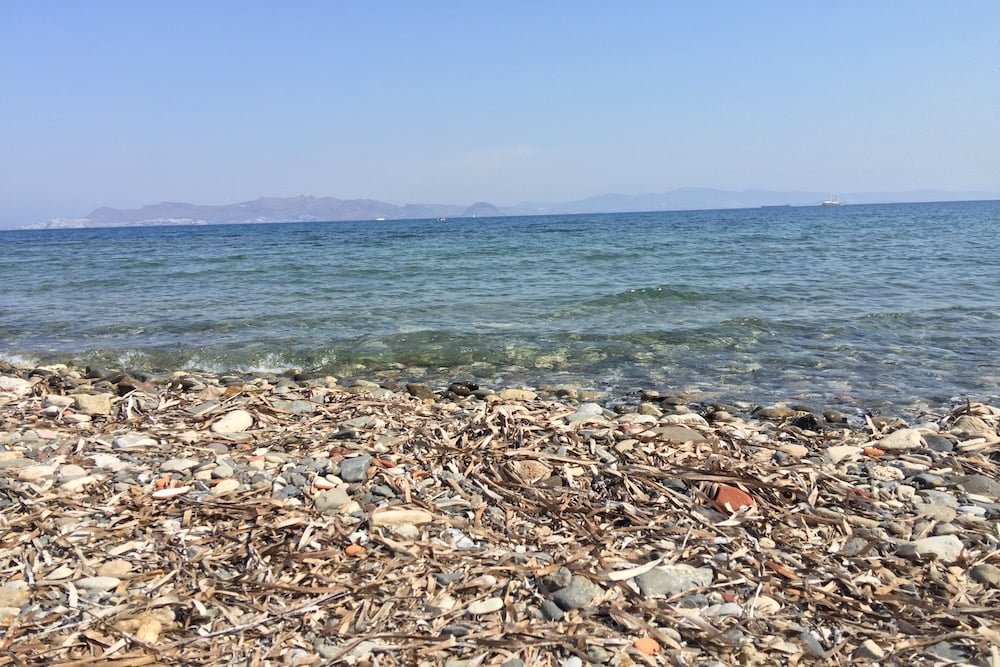 Sea 1